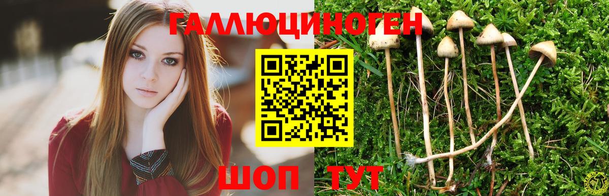Галлюциногенные грибы прущие грибы Таганрог